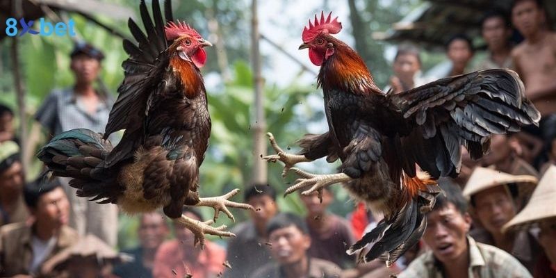 Gà Thư Hùng Kê